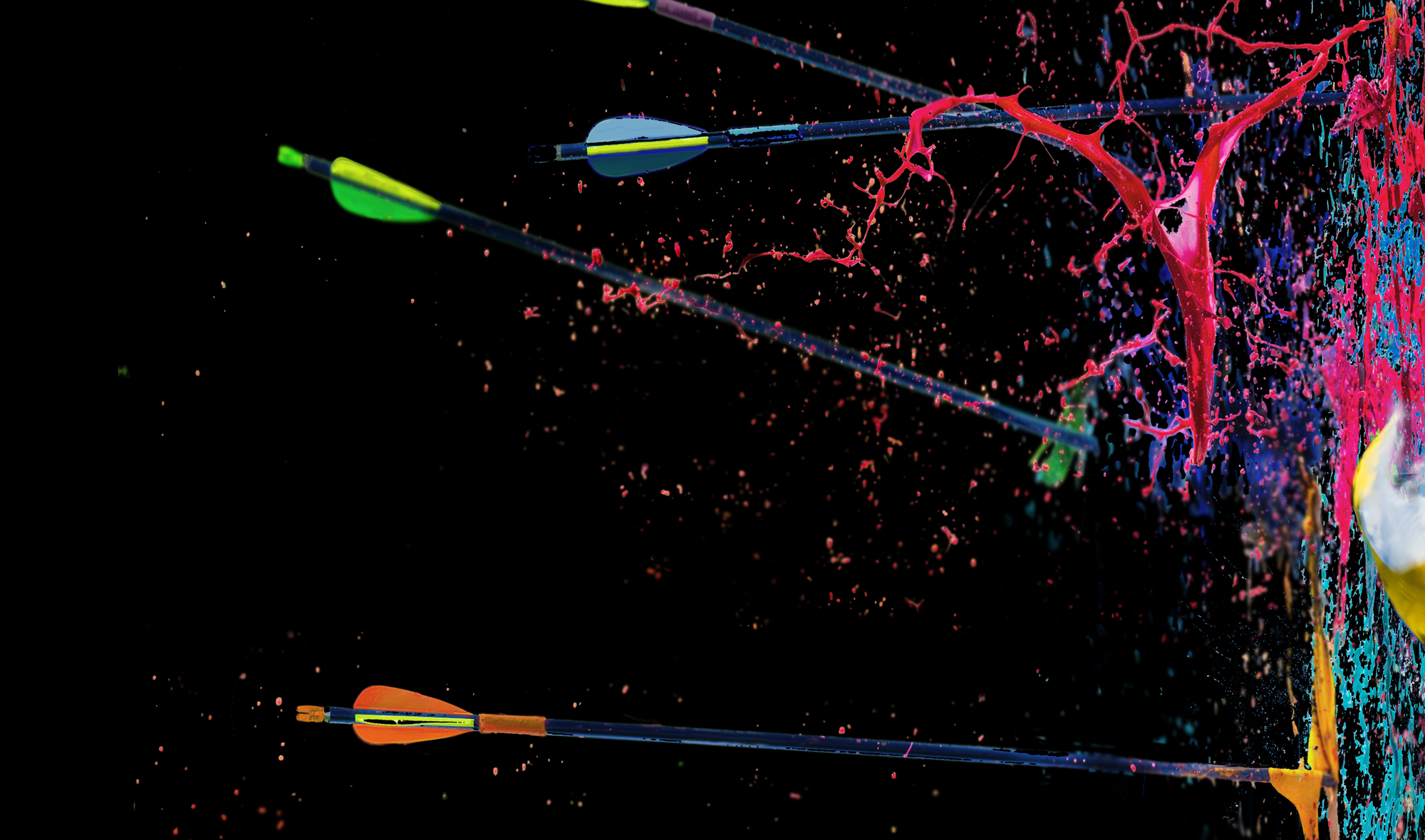 Archery Software Which archery software - rewaao