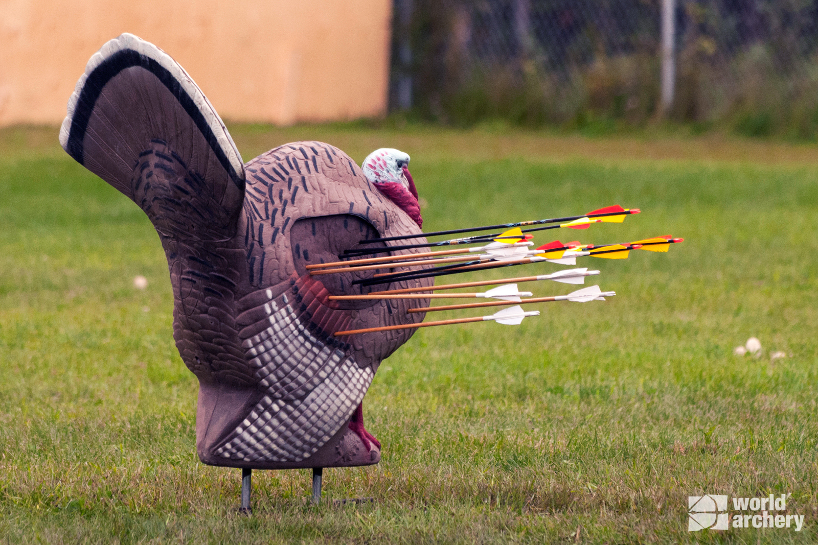 Lancaster Archery Foundation awards grant to USA’s 2022 World Archery 3D Championships Team