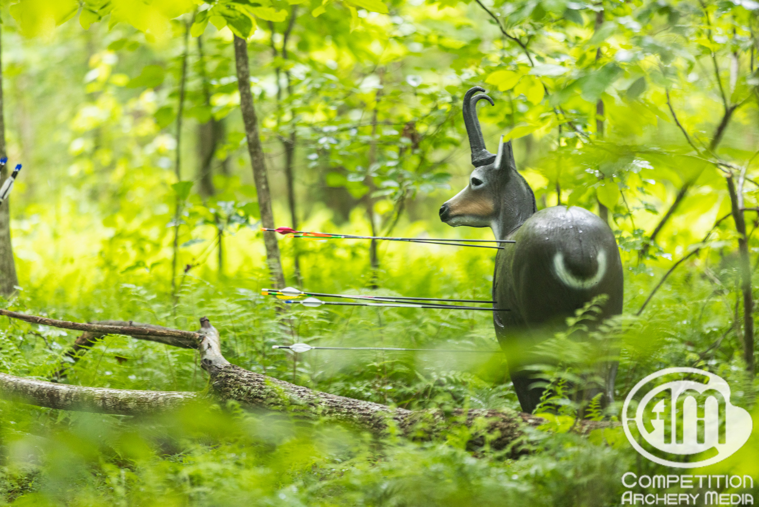 USA Archery Announces Team for 2022 World Archery 3D Championships